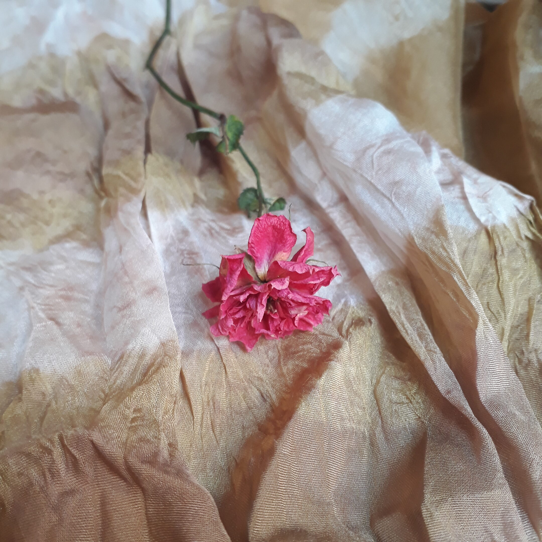 Receta Rosado AC1